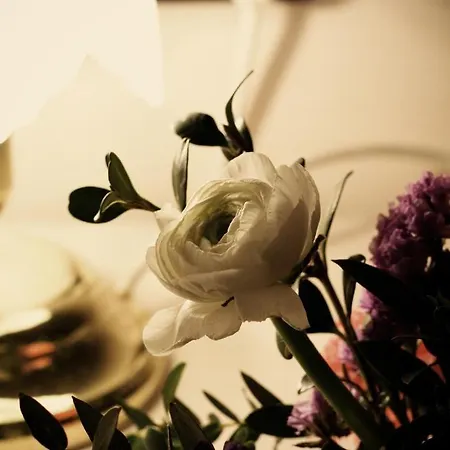 Mediterraneo מלון 3*