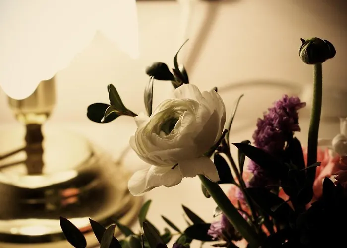 地中海住宅酒店 酒店 3*